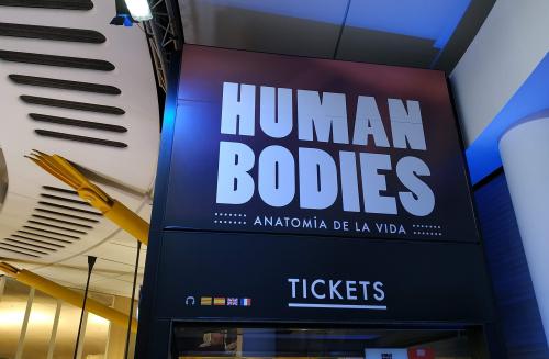 Dos-cents companys i companyes visiten l’exposició “Human Bodies” convidats pel Col·legi
