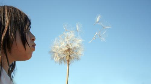 Invitació al seminari “Recerca en traumatisme toràcic”. Potenciant projectes d’investigació en salut respiratòria