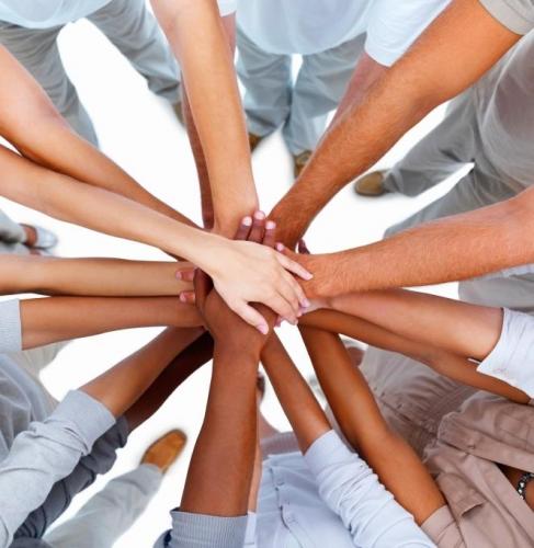 Les comissions fan una crida per incorporar nous membres