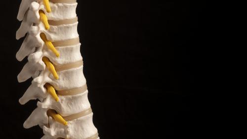Es crea el Registre de fisioterapeutes que realitzen osteopatia