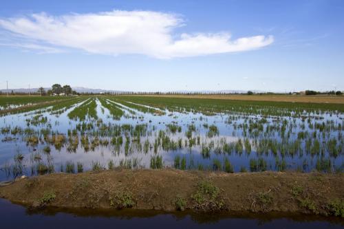 3a Jornada Territorial de les Terres de l’Ebre. Raonament clínic en fisioteràpia