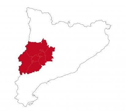 XV Esmorzar - Col·loqui de la Secció Territorial de Lleida. Acupuntura en el tractament del dolor, una visió integrada