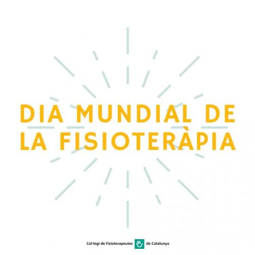 El CFC insisteix en la idoneïtat de la presència de fisioterapeutes en centres poliesportius i centres sanitaris públics