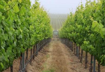 Conferència del cicle Terap(i)Tast i 10è Sopar dels Fisioterapeutes del Penedès
