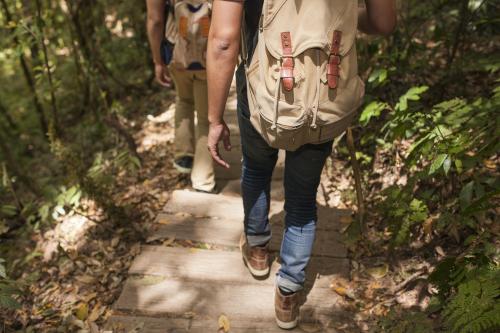El Grup d’Interès del Vallès Occidental organitza un bany de bosc al Parc Natural de Sant Llorenç del Munt i l’Obac