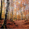 Garrotxa