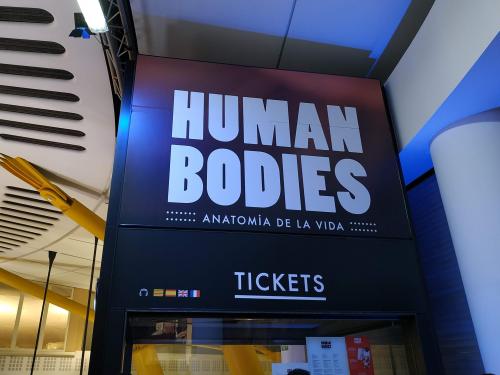 El Col·legi et convida a l’exposició “Human Bodies”