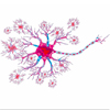Malalties neurodegeneratives