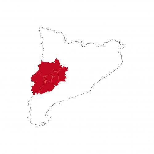 La fisioteràpia oncològica centra el 14è Esmorzar Col·loqui de la Secció Territorial de Lleida